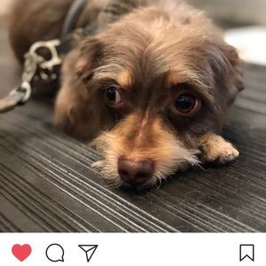 Meet your Posher, Inessa